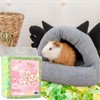 Hamster Bedding, Soft Hedgehog Bedding for Hamster, Small Animal Bedding,