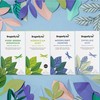 Dragonfly Tea Green Tea Collection (4x20-80 Teabags) Green Tea Gift