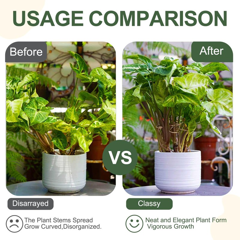 Monstera Plant Support, Durable Iron Plant Stem Supports, Plant Stabilizer