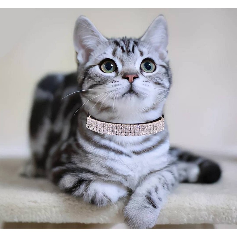 THAIN Rhinestones Cat Dog Collar Soft Velvet Safe Adjustable Collar