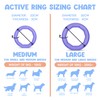 APAWLO Pets Active Ring Dog Toy for Fetch, Tug &