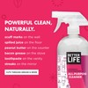 Better Life All Purpose Cleaner - Multipurpose Home and Kitchen