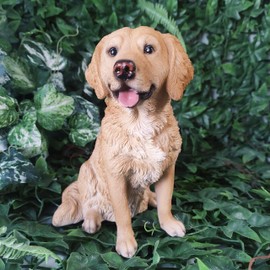 Vivid Arts - Golden Retriever - XRL-GR03-D