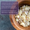 Frankincense Resins | Boswellia Sacra Frankincense Incense |Chruch Incense Olibanum