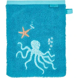 Terry Cloth Wash Mitt