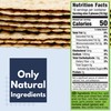 Snacktery Garlic Multigrain Flatbread Crackers - All Natural Multigrain Crackers
