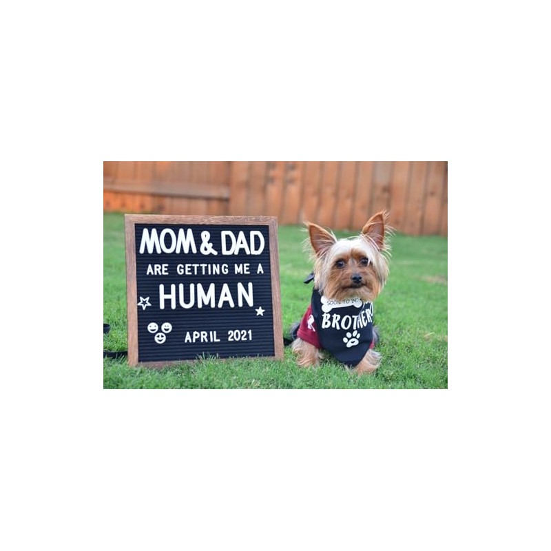 Big Brother - Bandana reversible para perro, diseño triangular, Negro