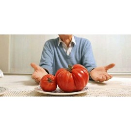 Behemoth BULK * 200  *  BEHEMOTH GIANT TOMATO * LARGEST FRUIT * HEAVY YIELDING PLANTS *