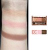 Cezanne Nose & Eyebrow Powder 06 Pink Brown 3.0g Nose