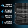 PEScience High Volume Stim-Free Pre Workout Pump Powder, Nitric Oxide