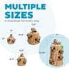 Outward Hound Hide-A-Squirrel Dog Toy – Interactive 2‑in‑1 Plush Puzzle