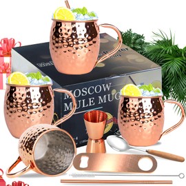 Moscow Mule Copper Mugs Moscow Mule Cups Kit 19oz Set of 4 with Handle Large Copper Hammered Plating Cups with 0.5oz Double Jigger, Stainless Steel Straws for Cold Drinks Cocktails Wine