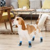 KOOLTAIL Non-slip dog socks, double-sided handles, Woof dog socks for