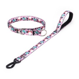 haoyueer Dog Collar and Leash Set, Slip Collar with Stop Ring, No Pull Martingale Collar for Dogs, for Small, Medium, Large Dogs (NO9, M)
