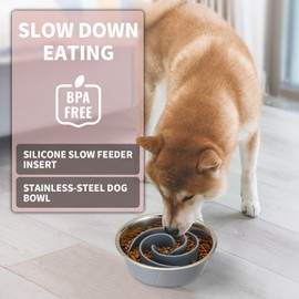 2-in-1 Metal Slow Feeder Dog Bowl, Bestalk Stainless Steel Dog Bowls with Silicone Slow Feeder Insert, Food Grade 304 Water Food Bowl with Anti-Slip Base for Small, Medium, Large Dogs