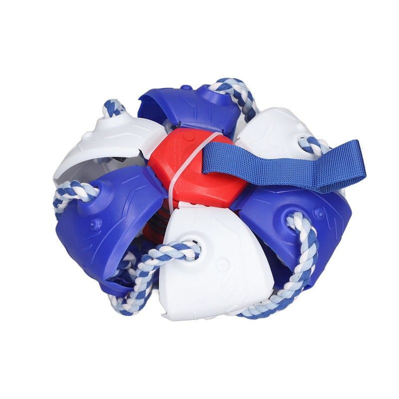 Interactive Outdoor Fly Ball Flying Saucer Ball Interesting Dog Soccer