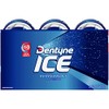 Dentyne Dentyne Ice Peppermint Sugar Free Gum, 6 Bottles of
