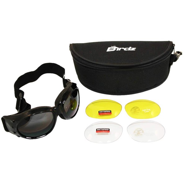 Eagle Interchangeable Kit Motorcycle Biker Goggles Comes with 3 Lenses
