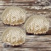Three Sun Perm Roll Perm Brush Waterproof Double Shower Hair Cap 6 Gold Dots / 쓰리썬 파마롤 파마용브러시 방수 이중 샤워 헤어캡 6개 골드도트