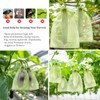 50 PCS 6X9 inches Fruit Protection Bags,Fruit Bags for Fruit