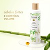 Pantene - Shampoo Nutrient Blends Volume Multiplier, con Bambú Pantenol