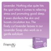 Friendly Soap Handmade Natural Lavender Soap - Relaxing, Indulgent, Exfoliating