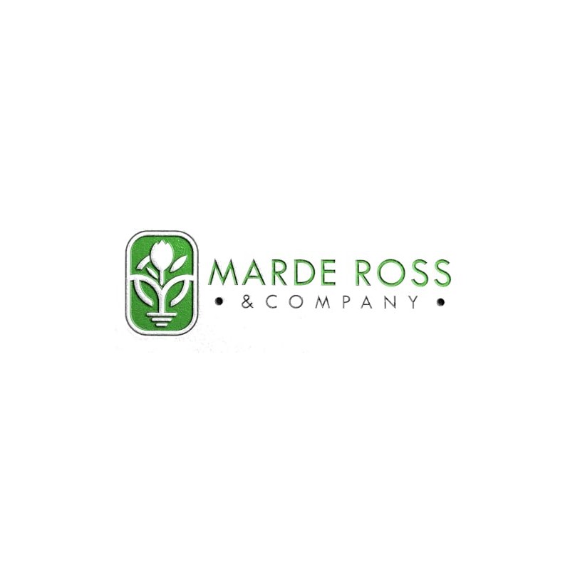 Pineapple Tomatillo Seeds - Marde Ross & Company®