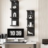 LitaEther Versatile 4 Tier Wall Shelf Unit,Black Lack Wall Shelf,Display