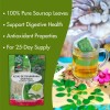 Hanan Graviola Loose Leaf Herbal Tea 1.4oz Soursop Leaves -