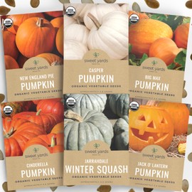 Organic Pumpkin Seeds Variety Pack - 6 Individual Packs - 2026 Season - Jack O' Lantern, Cinderella, Big Max and More! for Indoor & Outdoor Planting (Non-GMO, Certified Organic)