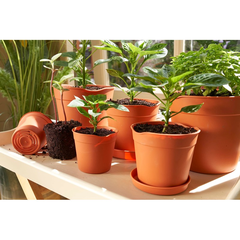 Clever Pots Easy Release Saucers, Earthenware, Terracotta, Medium/Large, 40 Units(8