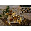 Pauleen 48183 Sunshine Glamour Solar Fairy Lights for Balcony or