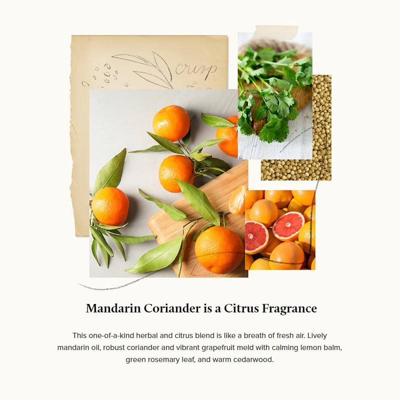 Thymes Mandarin Coriander Dishwashing Liquid - Oz. Natural Body Hand