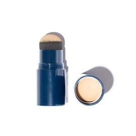 Color & Conceal (Blonde)