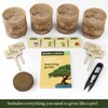 Bonsai Starter Kit - Gardening Easter Gift for Women &
