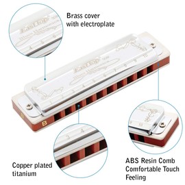 East top Harmonica Key of B, 10-Hole Diatonic Harmonicas Blues Harp Mouth Organ with Silver Cover, Standard Harmonicas For Adults,Professionals, Beginner, Students and Kids, as Gift