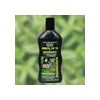 Shampoo Romero Y Árbol De Té 550 Ml Del Indio