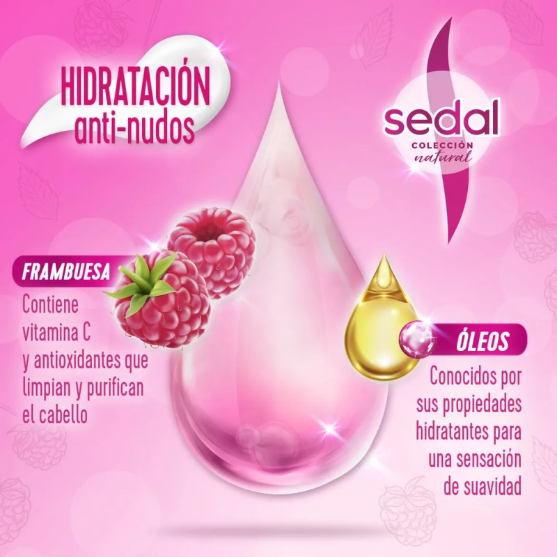 Sedal Recarga Natural Hidratación Anti-Nudos 620mL shampoo para cabello maltratado