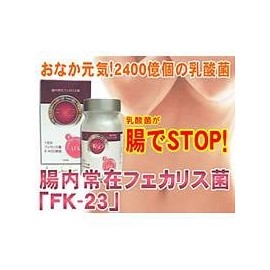 Nakatomi Intestinal Phecalis FK-23 250 mg x 180 Tablets