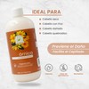 Acondicionador Con Extracto De Árnica Productos Mart Mexico 500 Ml