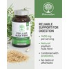 Psyllium Husk Capsules with Probiotics - Fibre Supplement Complex 1400mg