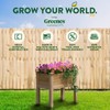 Greenes Fence Cedar Elevated Garden Bed, 32" L x 16"