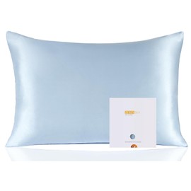 ZIMASILK 100% Mulberry Silk Pillowcase for Hair and Skin Health, Soft & Smooth, Both Sides Premium Grade 6A Silk, 600 Thread Count, with Hidden Zipper, 1pc (Standard 50x75 cm, Light Blue)