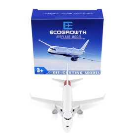 EcoGrowth Model Airplane American Plane Model Plane Airplane for Collection & Gifts