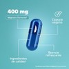 Birdman Citrato de Magnesio 400 mg Apoya la Absorcin de