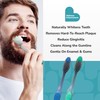 BioSwiss ErgoFlex Toothbrushes, Pack of 12 Manual Toothbrush Set with