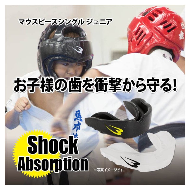 [BODYMAKER/Body Manufacturer] mausupi-susinguru tg256 , multicoloured