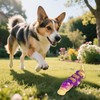 Mapneng Indestructible Dog Toys for Aggressive Chewers - Durable Nylon