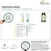 Cordyceps Sinensis Vegavero® | 650 mg (10:1) CS-4 Extract 40%