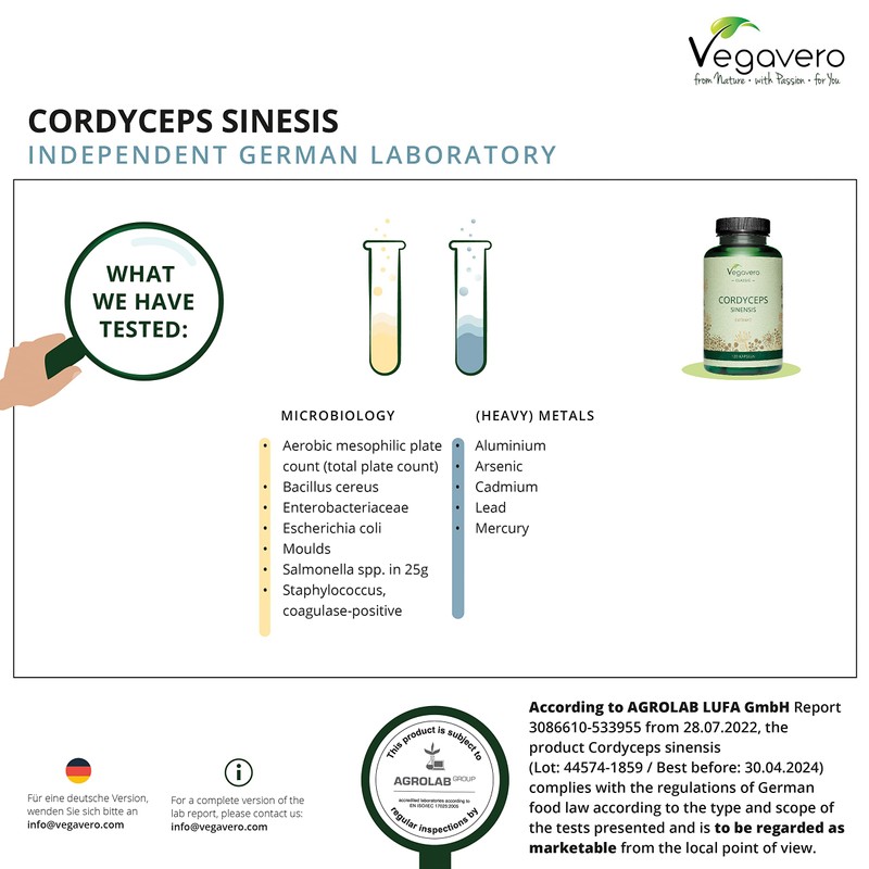Cordyceps Sinensis Vegavero® | 650 mg (10:1) CS-4 Extract 40%